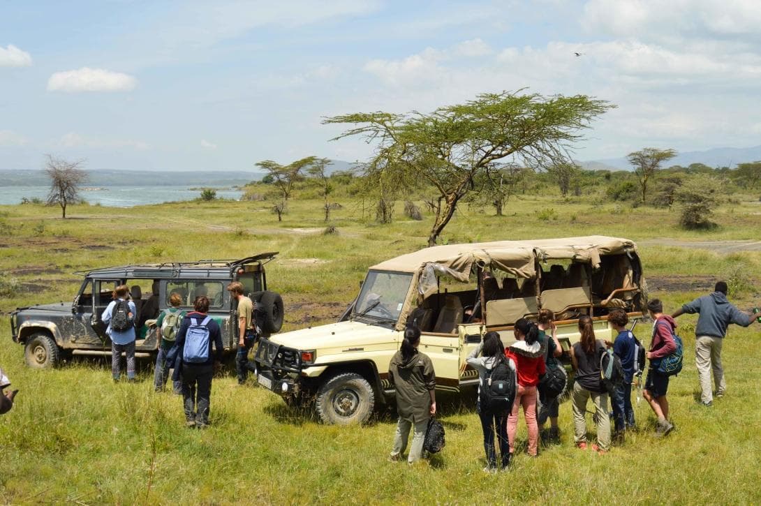 Lake shore walking safari near Naivasha