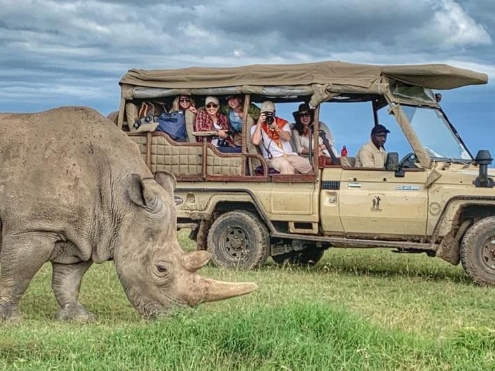White rhino beside a safari vehicle at Ol Pejeta