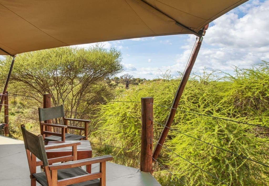 Kilimamoja Lodge in Kilimanjaro Region, Tanzania, photo 13