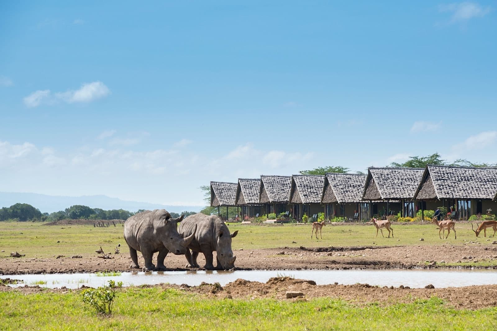 Sweetwaters Serena Camp in Ol Pejeta Conservancy, Kenya, photo 7