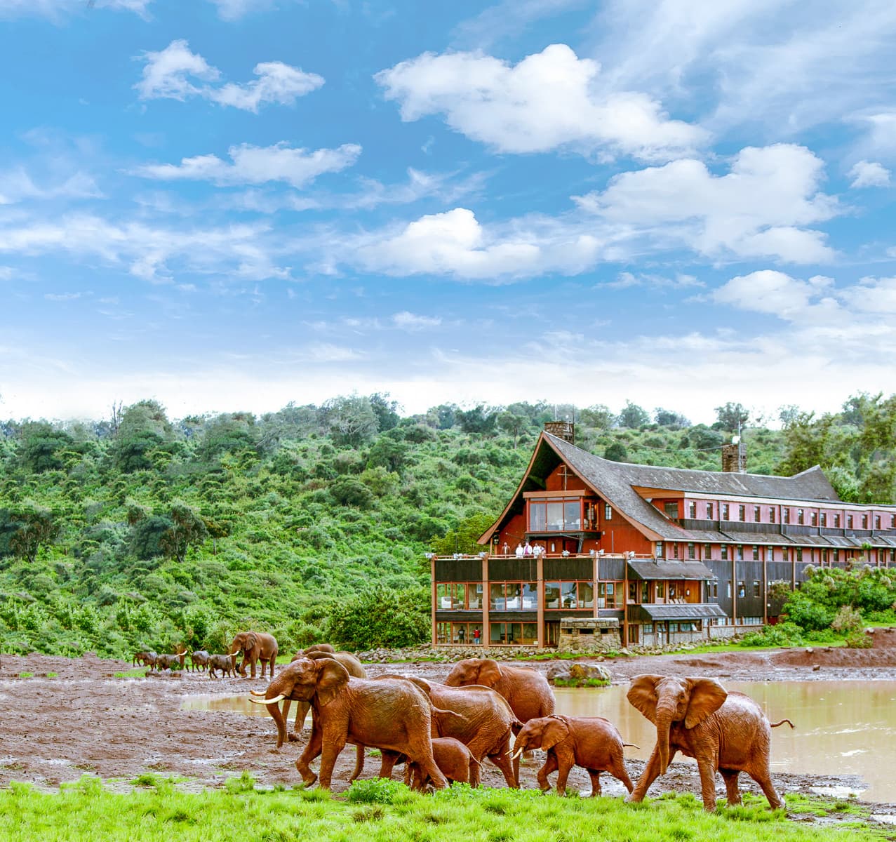 The Ark Lodge in Aberdare National Park, Kenya, photo 7