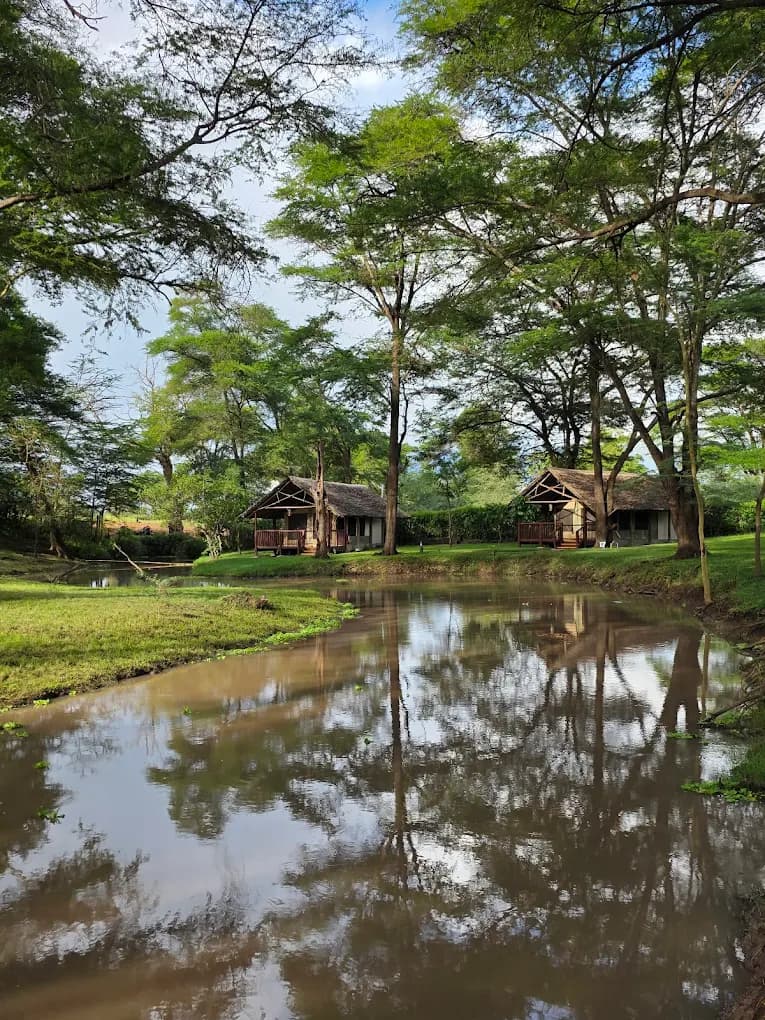 Voyager Ziwani Tented Camp in Tsavo West National Park, Kenya, photo 5