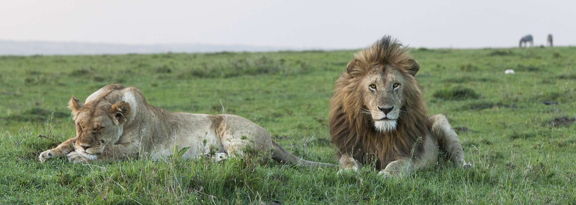 Maasai Mara conservancy landscape